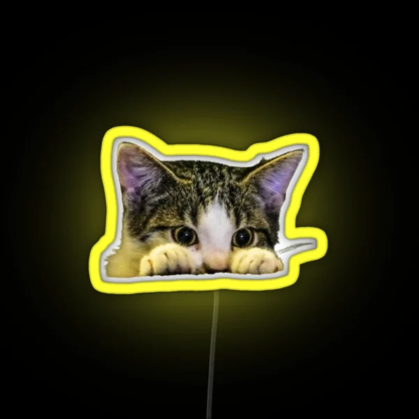 Hiding Cat RGB Neon Sign