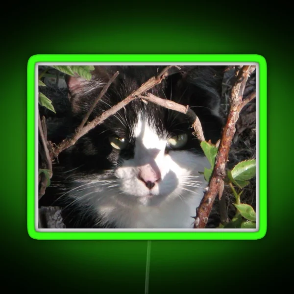 Hiding Kitty RGB Neon Sign