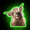 Highland Cow RGB Neon Sign - Image 4