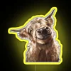 Highland Cow RGB Neon Sign - Image 6