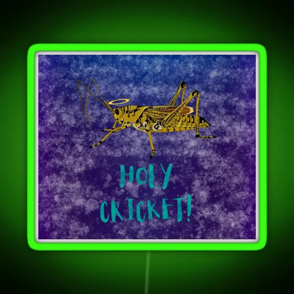 Holy Grasshopper Space Edition RGB Neon Sign