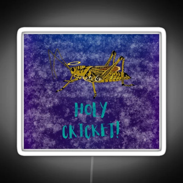 Holy Grasshopper Space Edition RGB Neon Sign