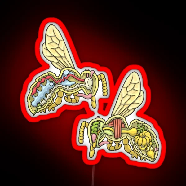 Honey Bee Anatomy Illustration RGB Neon Sign