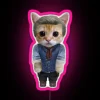 Hosea Matthews Kitty RGB Neon Sign - Image 6