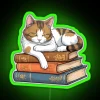 How To Chill Like A Cat RGB Neon Sign - Image 4
