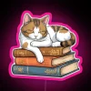 How To Chill Like A Cat RGB Neon Sign