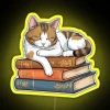 How To Chill Like A Cat RGB Neon Sign - Image 6