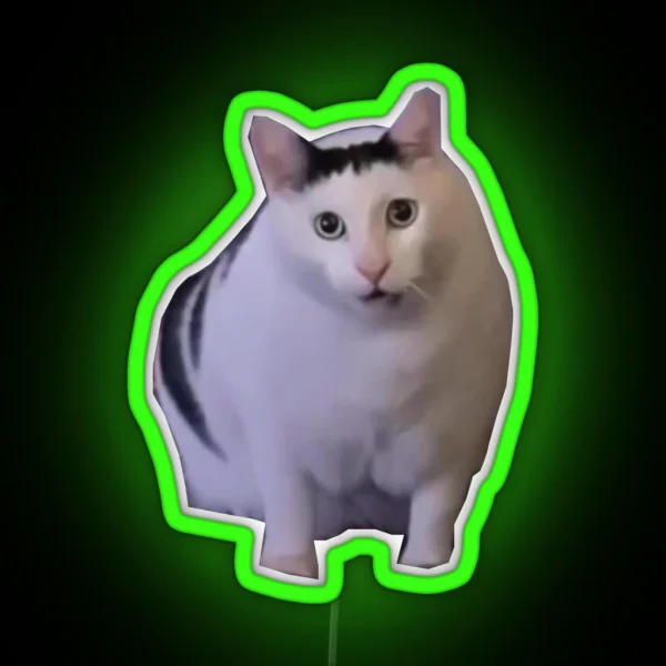 Huh Cat Meme RGB Neon Sign