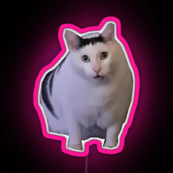 Huh Cat Meme RGB Neon Sign