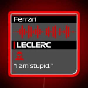 I Am Stupid F1 Team Radio Quote RGB Neon Sign