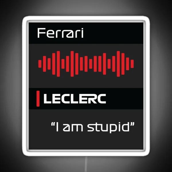 I Am Stupid Radio Message RGB Neon Sign