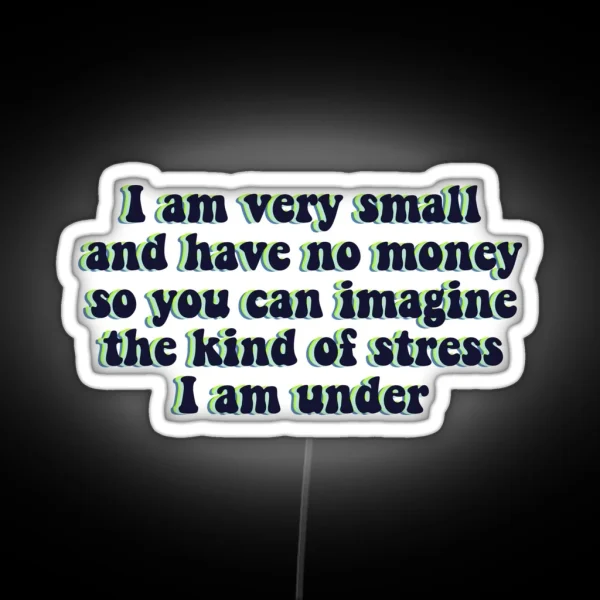 I Am Very Small And Have No Money Black RGB Neon Sign