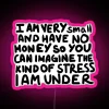I Am Very Small And Have No Money RGB Neon Sign - Image 6