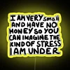 I Am Very Small And Have No Money RGB Neon Sign - Image 5