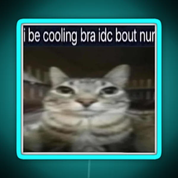 I Be Cooling Bra Idc Bout Nun Cat Meme Funny Positivity RGB Neon Sign