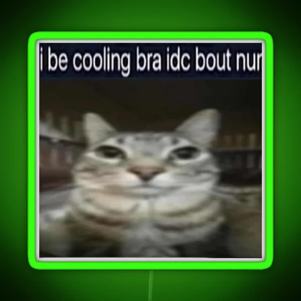 I Be Cooling Bra Idc Bout Nun Cat Meme Funny Positivity RGB Neon Sign