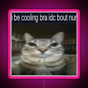 I Be Cooling Bra Idc Bout Nun Cat Meme Funny Positivity Silly Kitty RGB Neon Sign