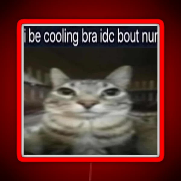 I Be Cooling Bra Idc Bout Nun Cat Meme Funny Positivity RGB Neon Sign