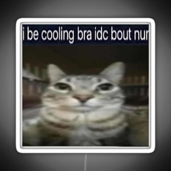 I Be Cooling Bra Idc Bout Nun Cat Meme Funny Positivity RGB Neon Sign
