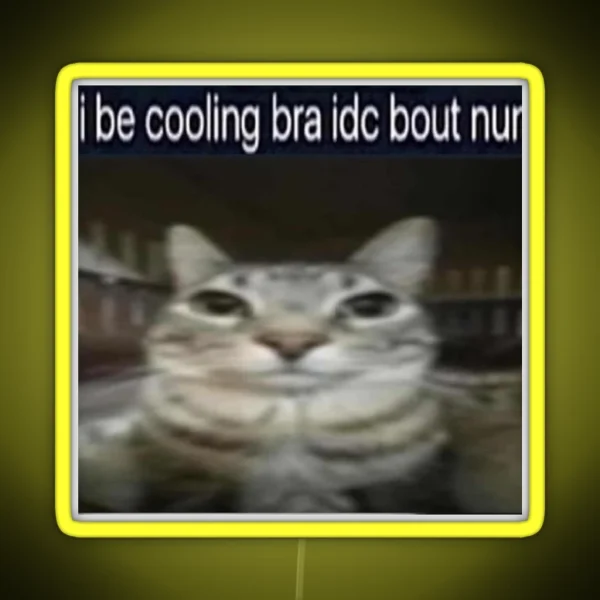 I Be Cooling Bra Idc Bout Nun Cat Meme Funny Positivity RGB Neon Sign