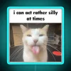 I Can Act Rather Silly At Times RGB Neon Sign - Image 3