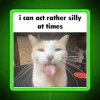I Can Act Rather Silly At Times RGB Neon Sign - Image 4