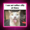 I Can Act Rather Silly At Times RGB Neon Sign - Image 6