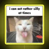 I Can Act Rather Silly At Times RGB Neon Sign - Image 5