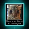 I HAVE HIRED THIS CAT TO STARE AT YOU RGB Neon Sign - Image 2