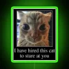 I HAVE HIRED THIS CAT TO STARE AT YOU RGB Neon Sign - Image 3