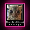 I HAVE HIRED THIS CAT TO STARE AT YOU RGB Neon Sign - Image 6