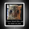 I HAVE HIRED THIS CAT TO STARE AT YOU RGB Neon Sign - Image 4