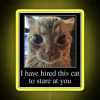 I HAVE HIRED THIS CAT TO STARE AT YOU RGB Neon Sign - Image 5