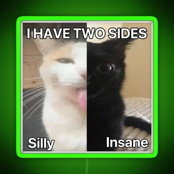 I Have Two Sides RGB Neon Sign