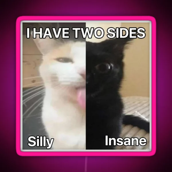 I Have Two Sides RGB Neon Sign