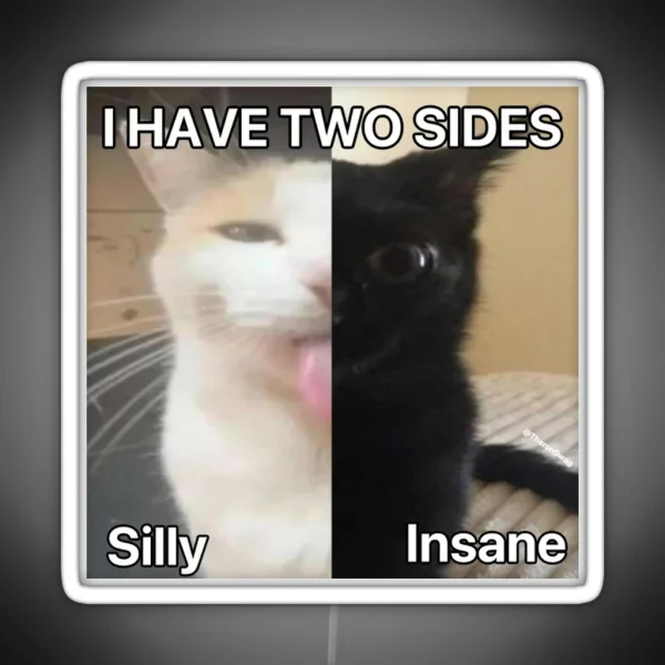 I Have Two Sides RGB Neon Sign