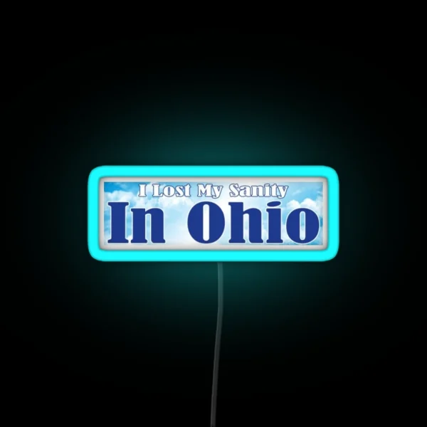 I Lost My Sanity In Ohio RGB Neon Sign