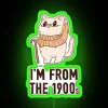 I M Old I M From The 1900s Cat RGB Neon Sign - Image 4