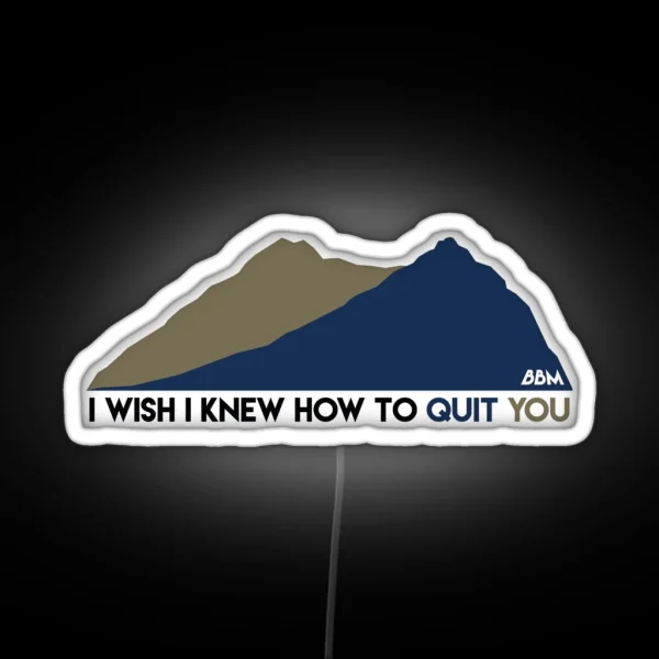 I Wish I Knew How To Quit You Brokeback Mountain RGB Neon Sign