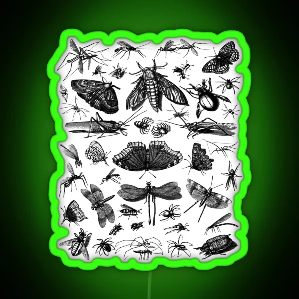 Insect Lover Led Insect Lover Gift Nature Led Entomology Led Insect Led Insect Gift RGB Neon Sign