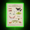 Insects From Hoenn RGB Neon Sign - Image 4