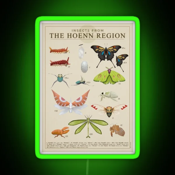 Insects From Hoenn RGB Neon Sign