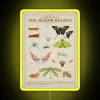 Insects From Hoenn RGB Neon Sign - Image 5