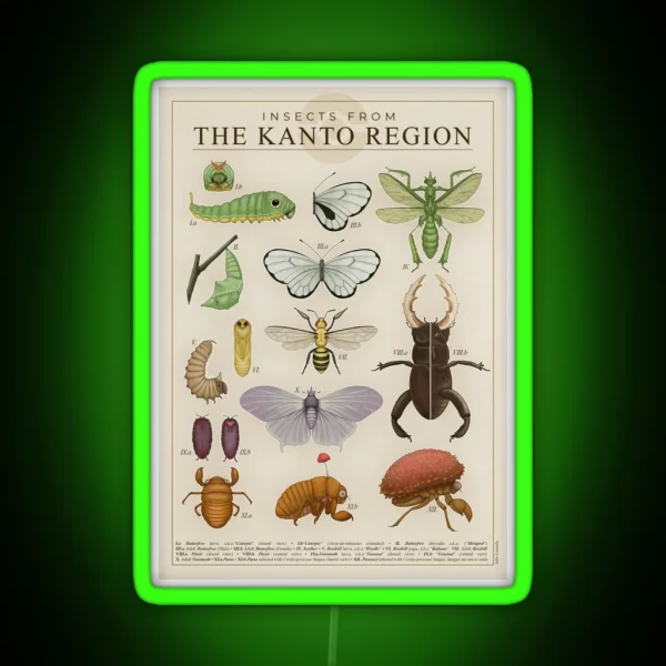 Insects From The Kanto Region RGB Neon Sign