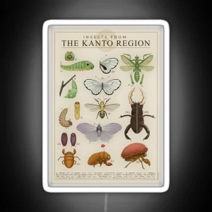 Insects From The Kanto Region RGB Neon Sign