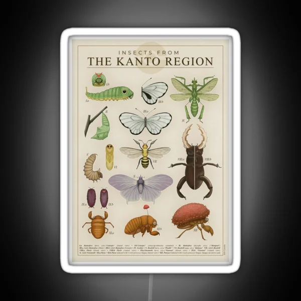Insects From The Kanto Region RGB Neon Sign