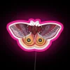 Io Moth Automeris Io Female RGB Neon Sign - Image 6