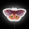 Io Moth Automeris Io Female RGB Neon Sign