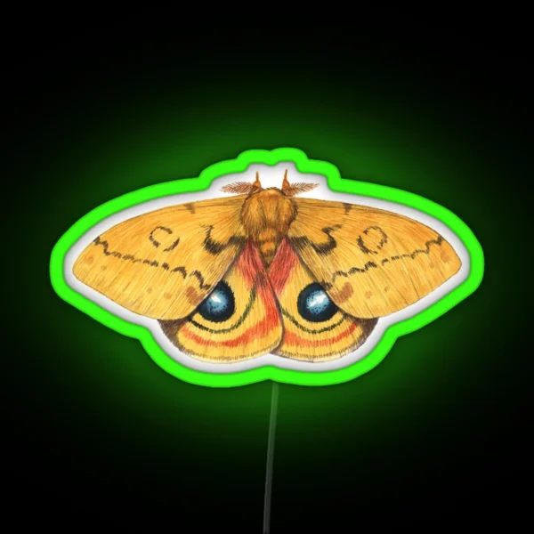 Io Moth Automeris Io Male RGB Neon Sign