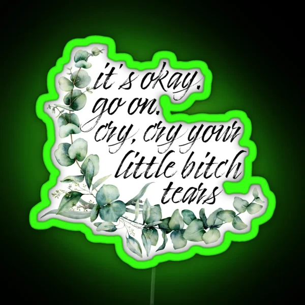 It S Okay Go On Cry Cry Your Little Bitch Tears RGB Neon Sign